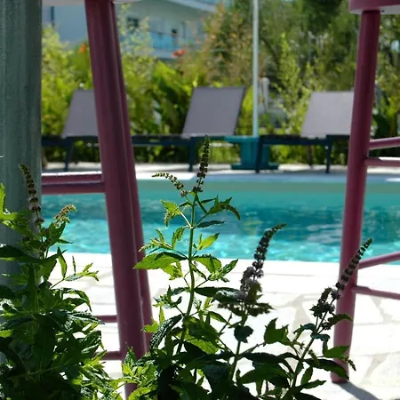 Cielle Epoque * Pefkochori